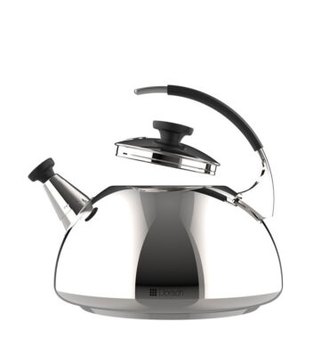 2.5L Stainless Steel Elegant Tea Kettle Pro With Cool Handle DH-02909