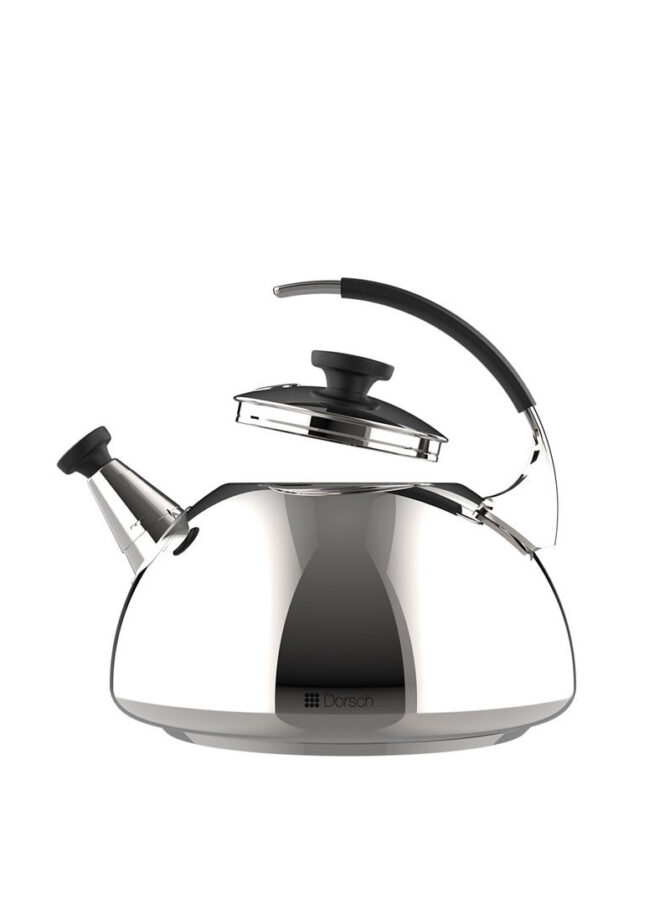 2.5L Stainless Steel Elegant Tea Kettle Pro With Cool Handle DH-02909