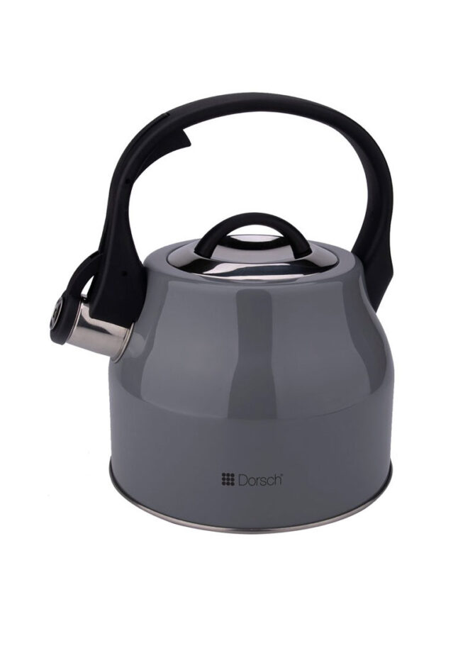 2.5L Stainless Steel Whistling Kettle With Ergonomic Handle DH-02905 - Grey