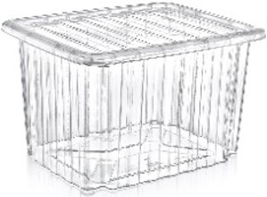 Universal Box (Transparent) (23 LT.)