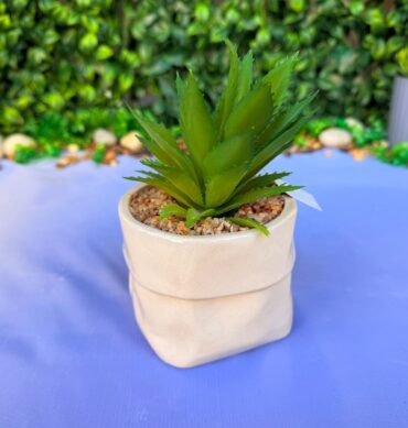 فاز ورد صغير