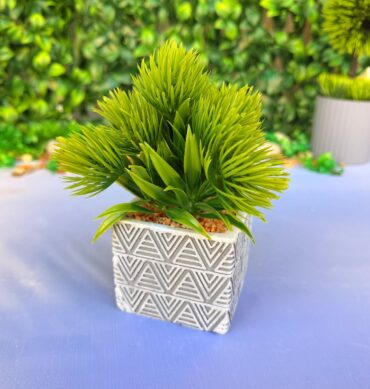 فاز ورد صغير